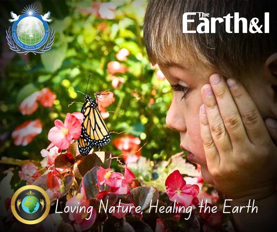 UPF UK Partnership with HJI Foundation for Environmental Peace