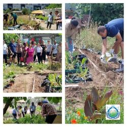 Marking International Volunteer Day with Universal Peace Federation UK Ambassadors for Peace contributing to community environmental service highlighting the 100 Days of Harmony and Hope campaign.
